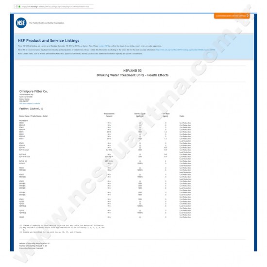 10 İnç Omnipure USA K2530 BB Gümüşlü Post Karbon Filtre