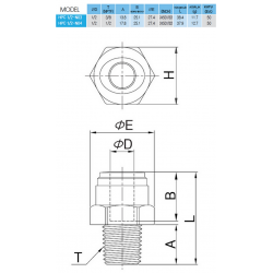 CDC 1/2 inç hortum girişli 1/2 inç erkek dişli düz konnektör