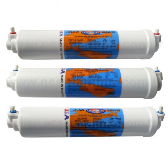 10 İnç inline Omnipure K25 Serisi 3 lü filtre takımı